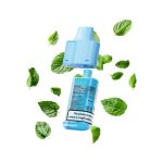 Lost Mary BM6000 Pre-filled Pod - Menthol - Image 2 Lost Mary BM6000 Pre-filled Pod - Menthol - Image 2